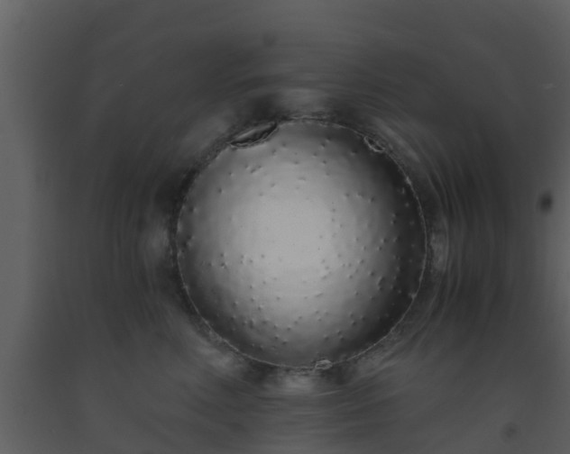X0000093530618200710191354