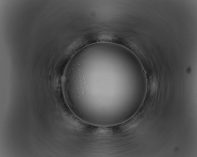 X0000093530619200710191354