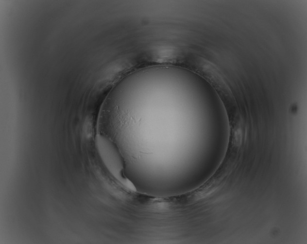 X0000093530620200710191354