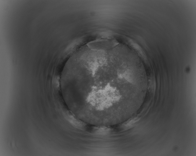 X0000093530621200710191354