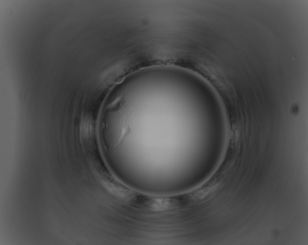 X0000093530623200710191354