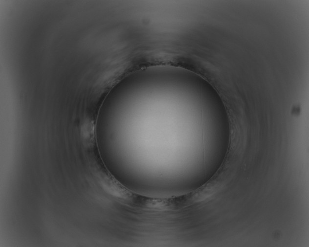 X0000093530624200710191354