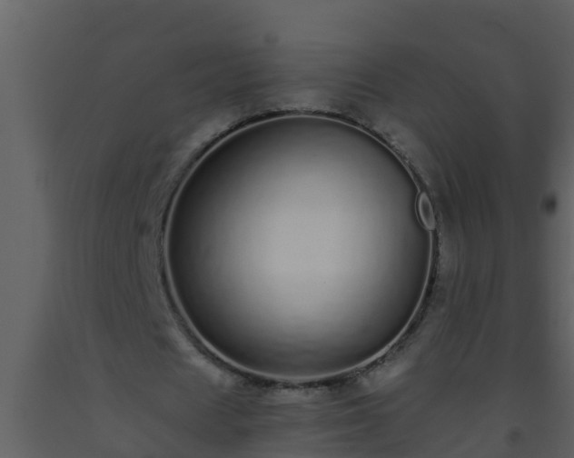 X0000093530625200710191354