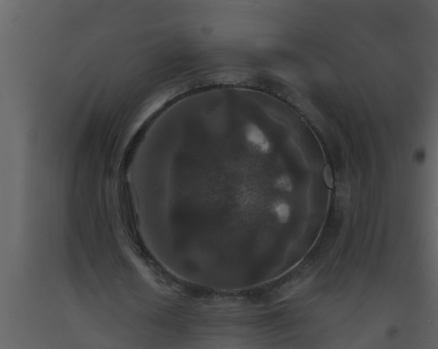 X0000093530626200710191354
