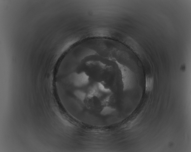X0000093530627200710191354