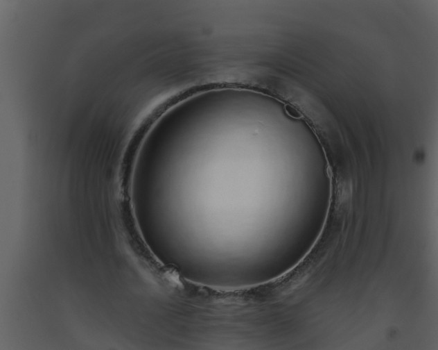 X0000093530628200710191354
