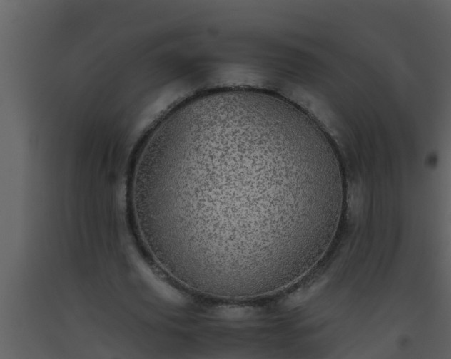 X0000093530629200710191354