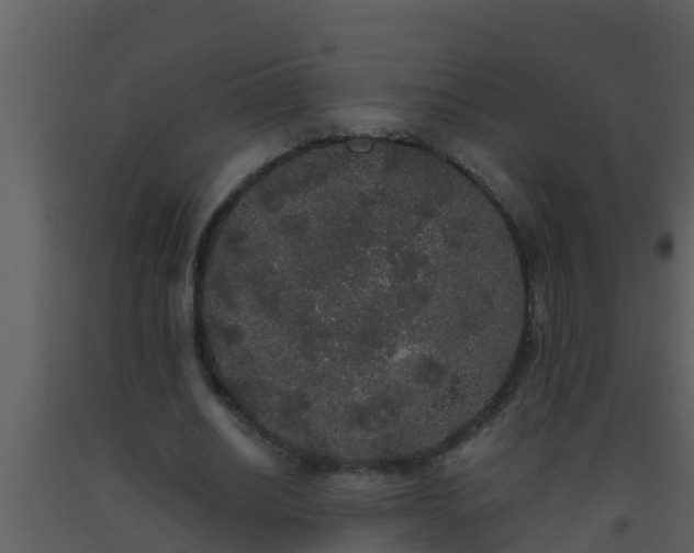 X0000093530630200710191354
