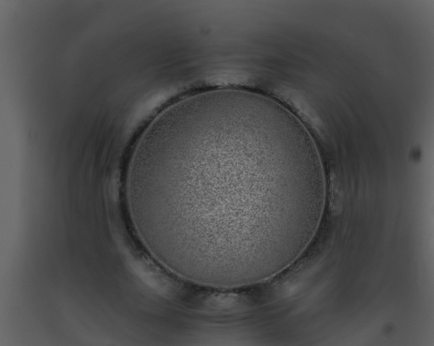 X0000093530631200710191354