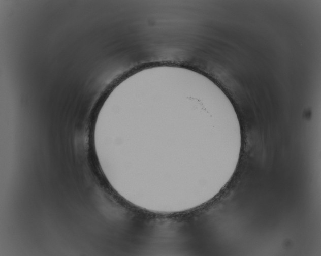 X0000093530632200710191354