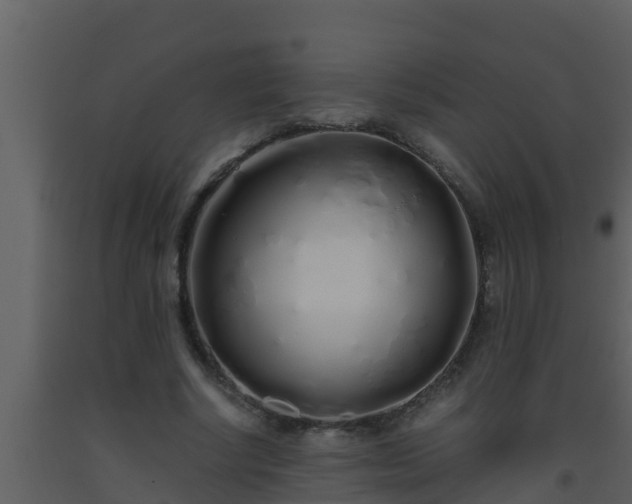 X0000093530634200710191354
