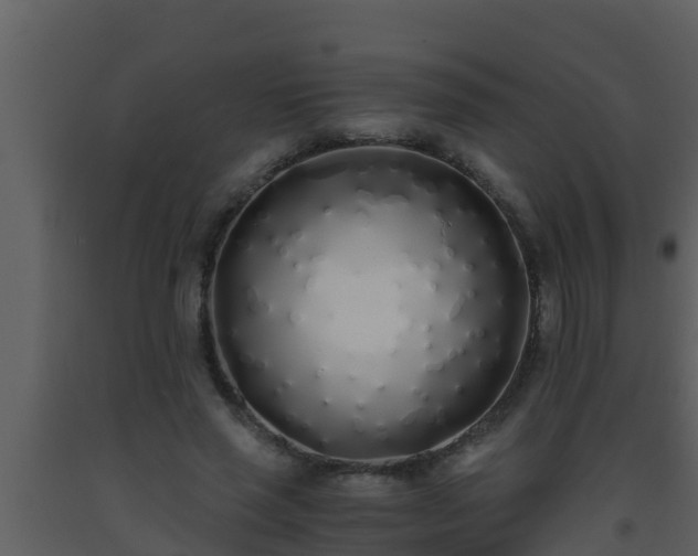 X0000093530637200710191354