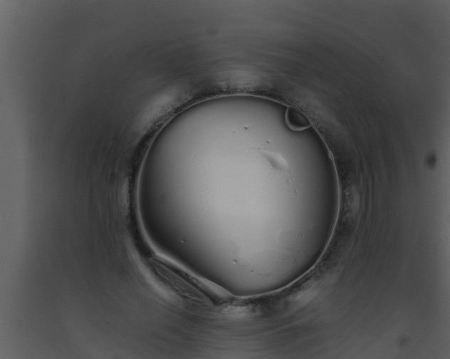 X0000093530638200710191354