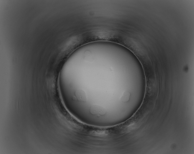 X0000093530639200710191354