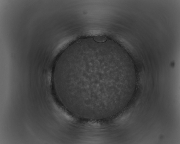 X0000093530640200710191354