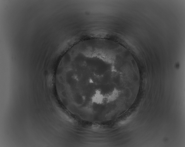 X0000093530641200710191354