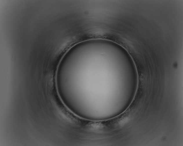 X0000093530642200710191354