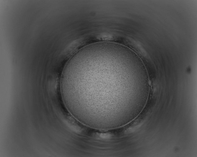 X0000093530645200710191354