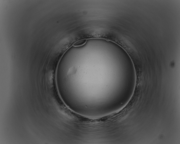X0000093530646200710191354