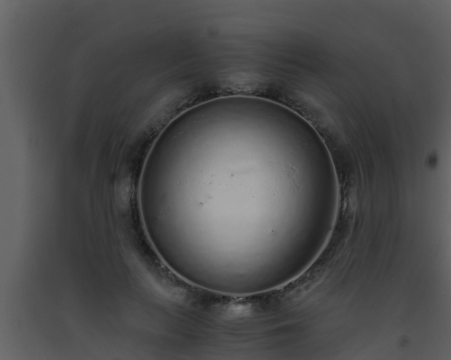 X0000093530647200710191354