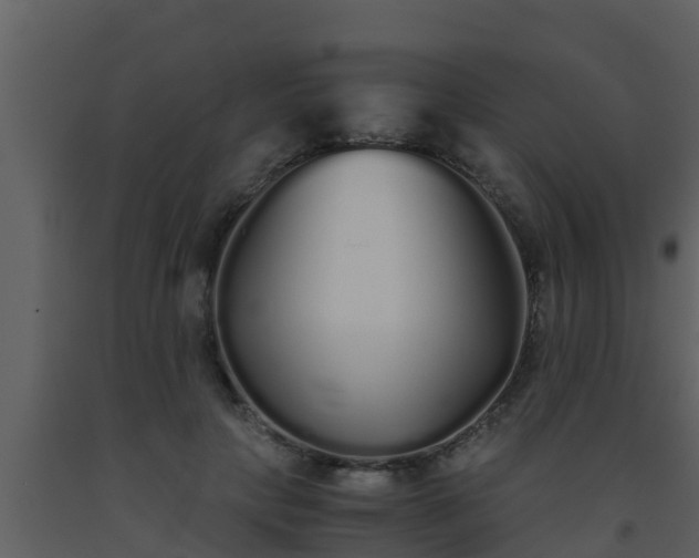 X0000093530649200710191354