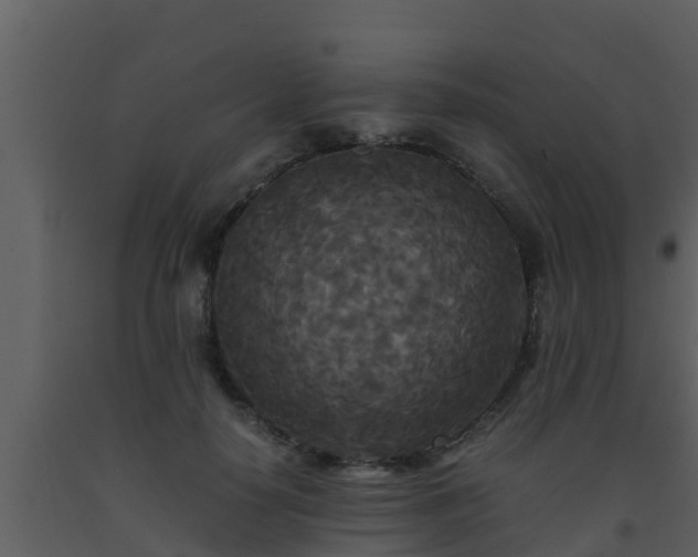 X0000093530650200710191354