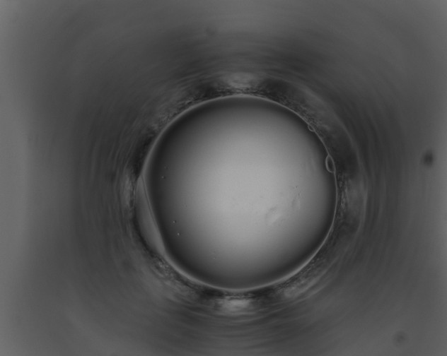 X0000093530651200710191354