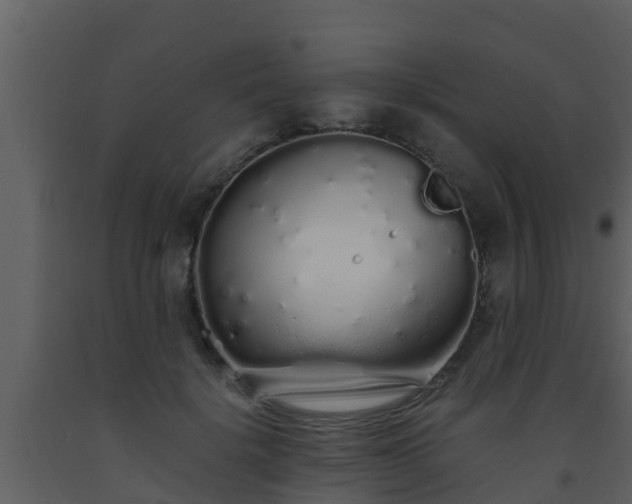 X0000093530652200710191354