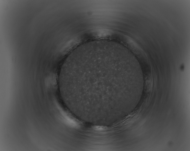 X0000093530654200710191354