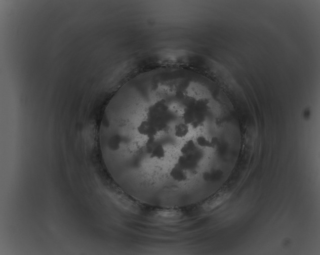 X0000093530659200710191354