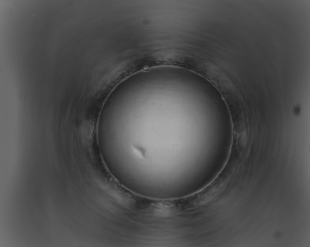 X0000093530660200710191354