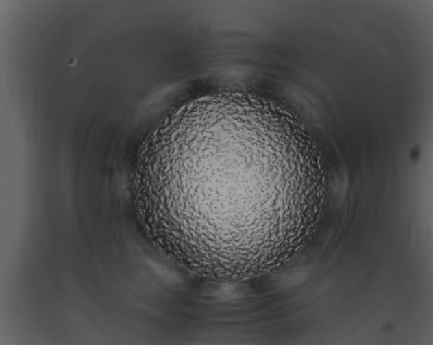 X0000093530663200710191354