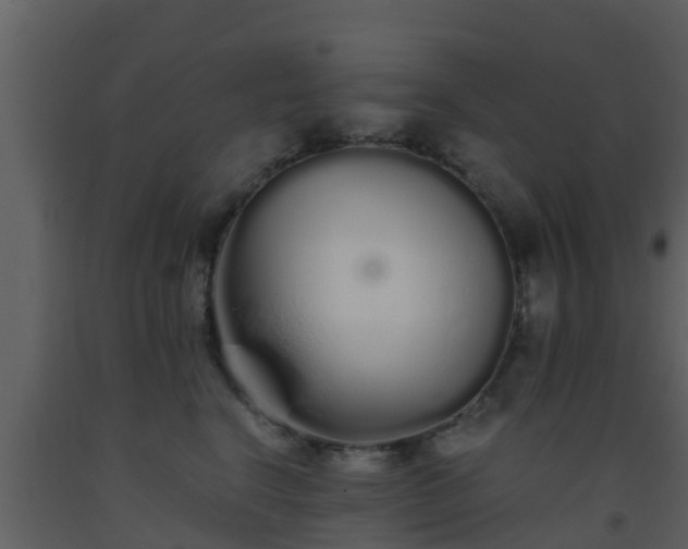 X0000093530664200710191354