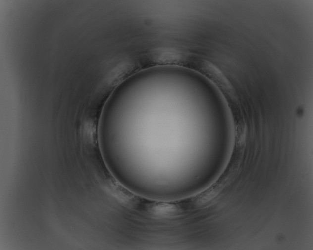 X0000093530669200710191354