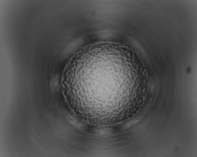 X0000093530670200710191354
