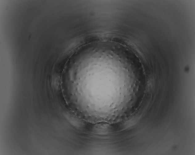 X0000093530671200710191354