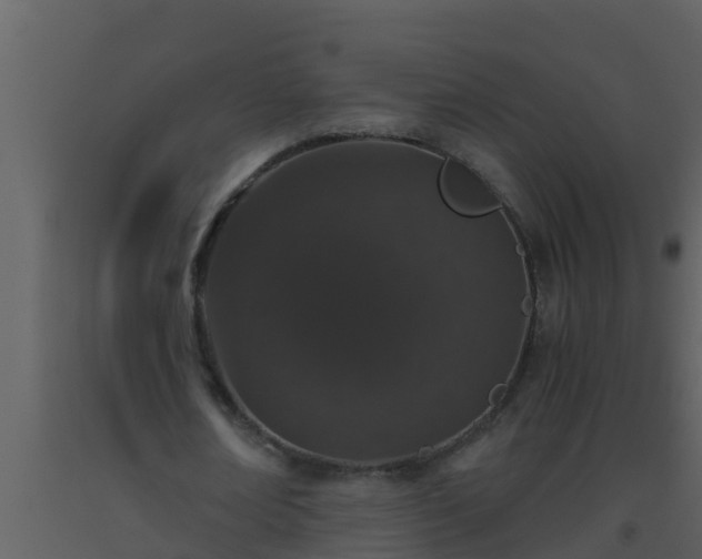 X0000093530674200710191354