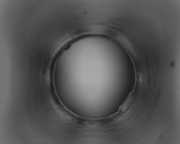 X0000093530676200710191354