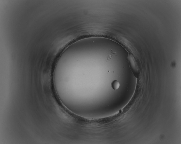 X0000093530677200710191354