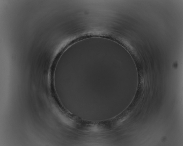 X0000093530678200710191354