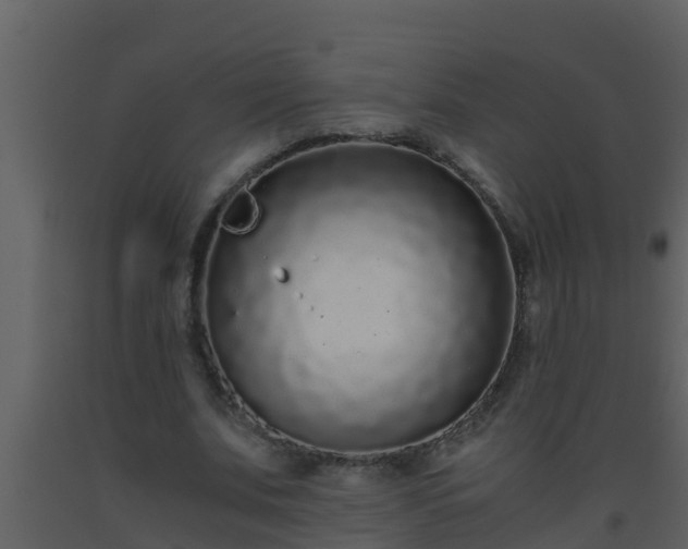 X0000093530679200710191354