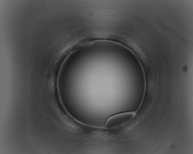 X0000093530681200710191354