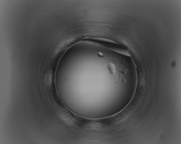 X0000093530685200710191354
