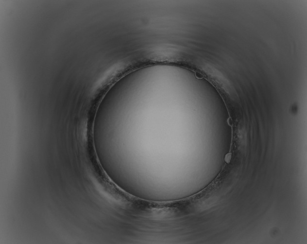 X0000093530686200710191354