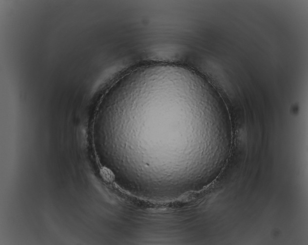X0000093530688200710191354
