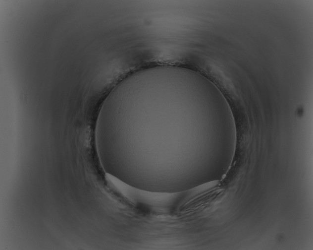 X0000093530689200710191354