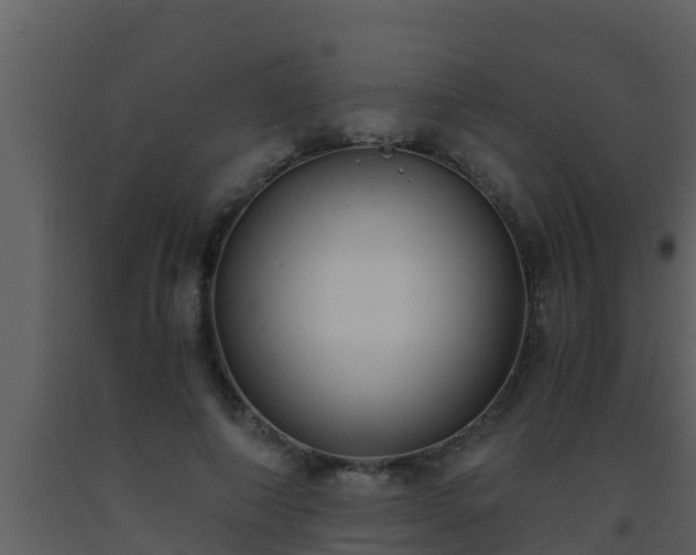 X0000093530690200710191354