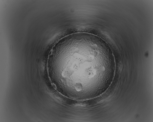 X0000093530691200710191353