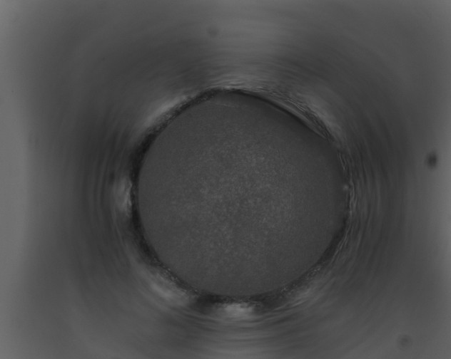 X0000093530692200710191353