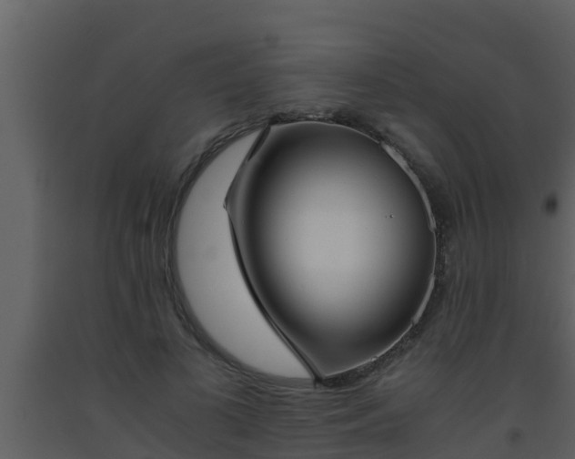 X0000093530693200710191353